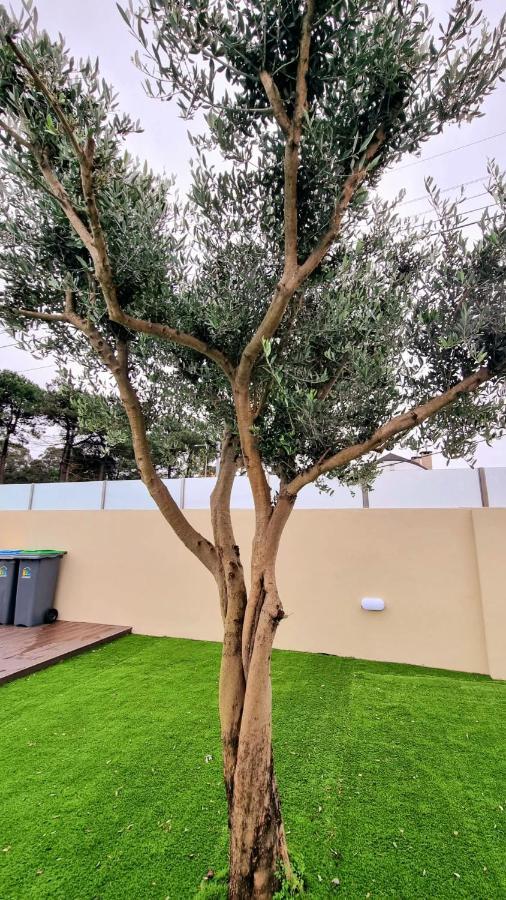 Villas Com Piscina Vila Nova de Gaia Bagian luar foto